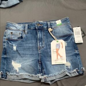 GreenTea Women's Blue Denim Shorts